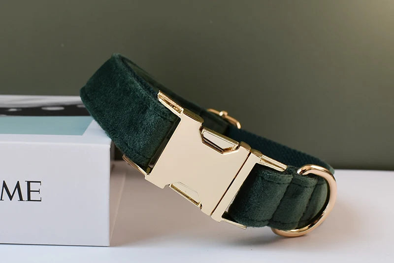 Unique Printing Pet Collar Dog Leash Dog Accessories For Pitbull Bull Terrier Rottweiler Free Engraved Collars Flannelette 10