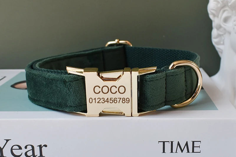 Unique Printing Pet Collar Dog Leash Dog Accessories For Pitbull Bull Terrier Rottweiler Free Engraved Collars Flannelette 10