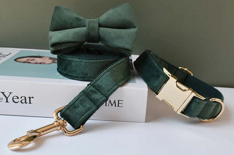 Unique Printing Pet Collar Dog Leash Dog Accessories For Pitbull Bull Terrier Rottweiler Free Engraved Collars Flannelette 10