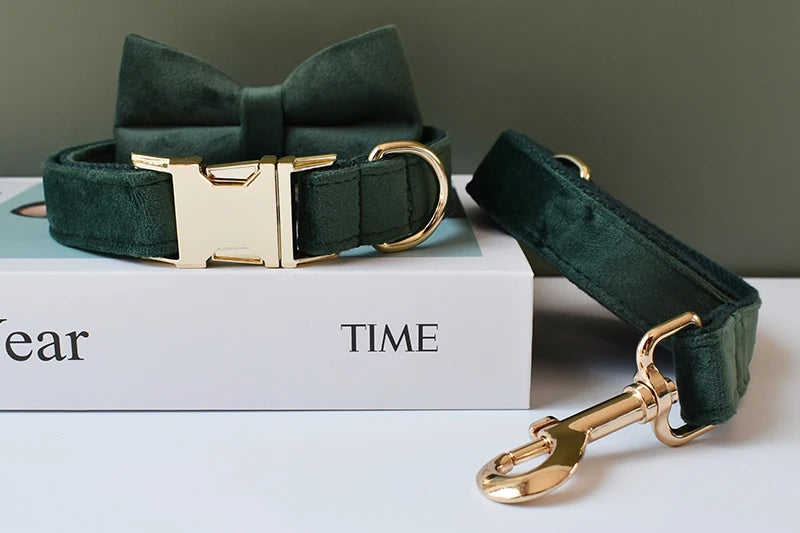 Unique Printing Pet Collar Dog Leash Dog Accessories For Pitbull Bull Terrier Rottweiler Free Engraved Collars Flannelette 10